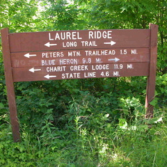 Laurel Ridge Road