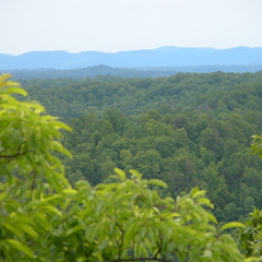 Overlook above Lin Hollow looking east to the mountains of Whitley County