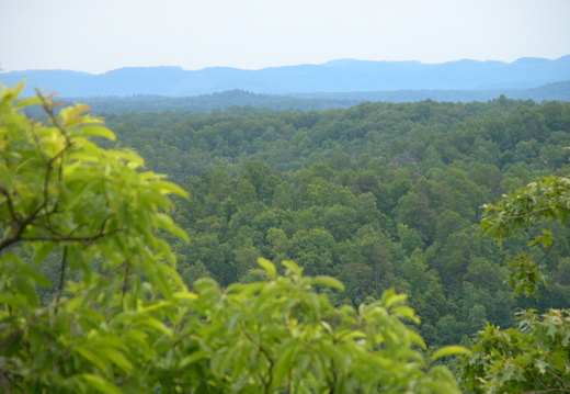 Overlook above Lin Hollow looking east to the mountains of Whitley County