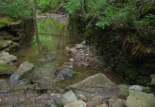 Grassy Creek