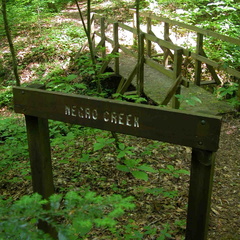 Negro Creek