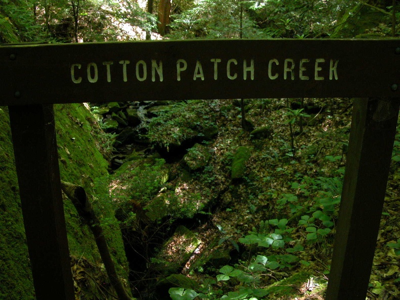 Along the Big South Fork of the Cumberland River, now flooded as Lake Cumberland