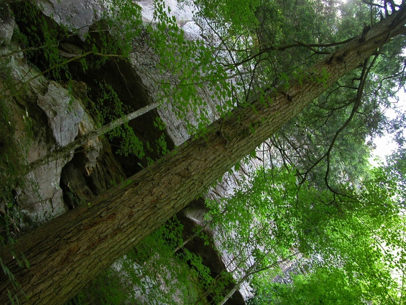 Yahoo Falls Scenic Area