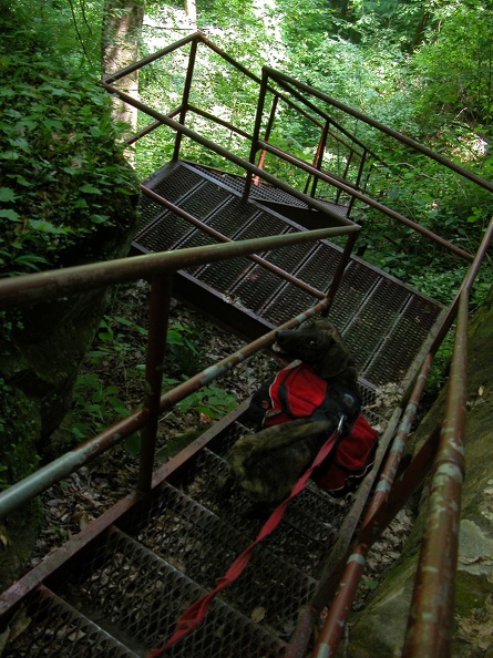 Yahoo Falls Scenic Area