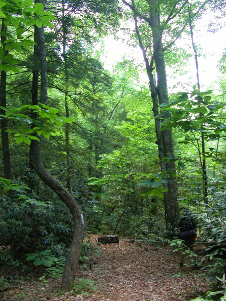 Big Creek Camp