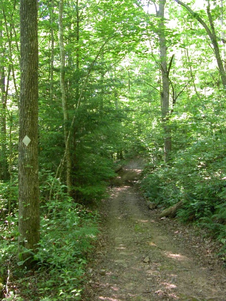 Big Creek