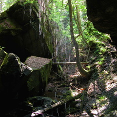 North Fork of Big Creek waterfall