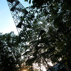 Pickett State Park fire tower