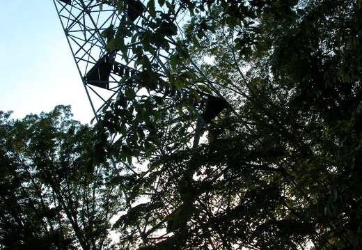 Pickett State Park fire tower