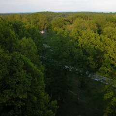 Pickett State Park fire tower looking northeast over the Cumberland Plateau