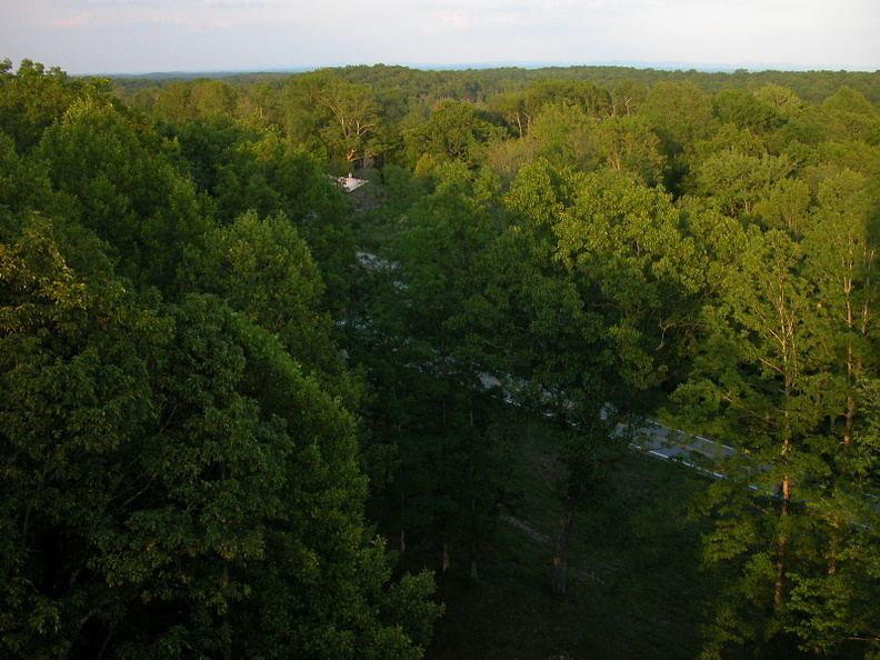 Pickett State Park fire tower looking northeast over the Cumberland Plateau