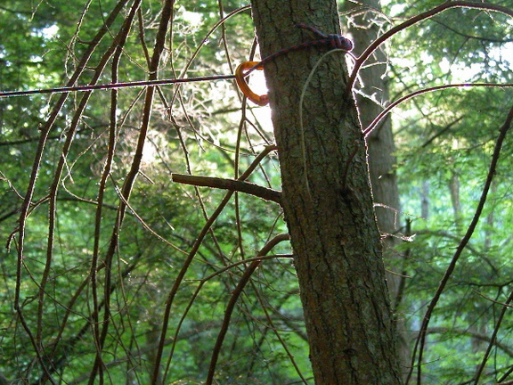 Camp 2: Puncheoncamp Creek