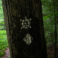 Sheltowee Trail Marker