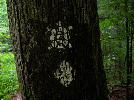 Sheltowee Trail Marker