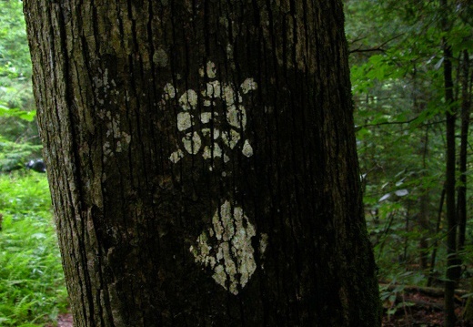 Sheltowee Trail Marker