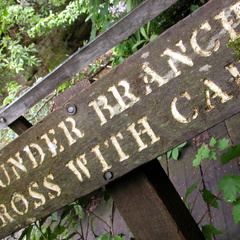 Pounder Branch Footbridge