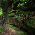 Above Vanhook Branch