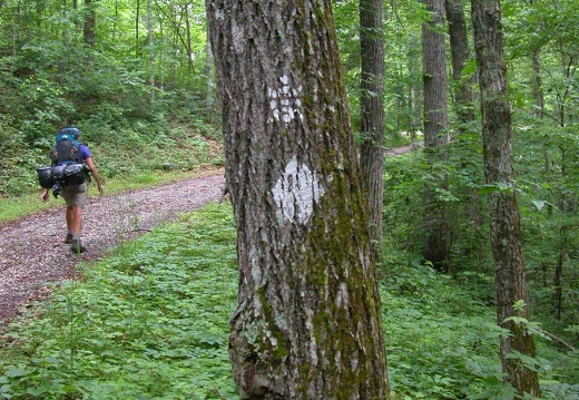 Forest Service Road