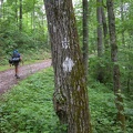 Forest Service Road