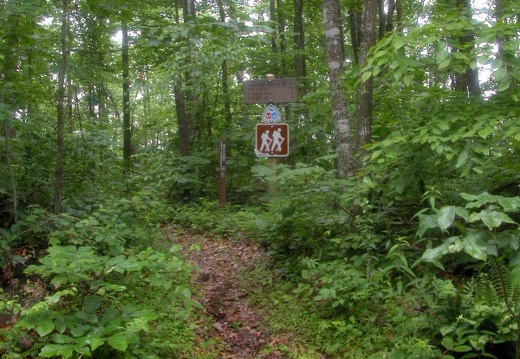 Leaving Forest Service Road