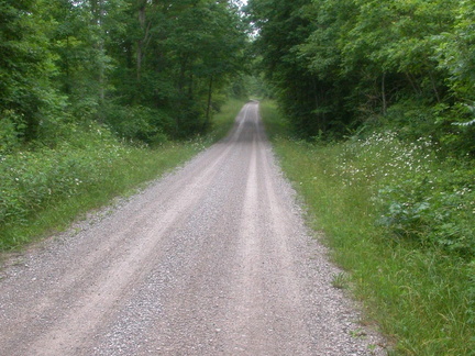 Again on Forest Service Road at 1249ft