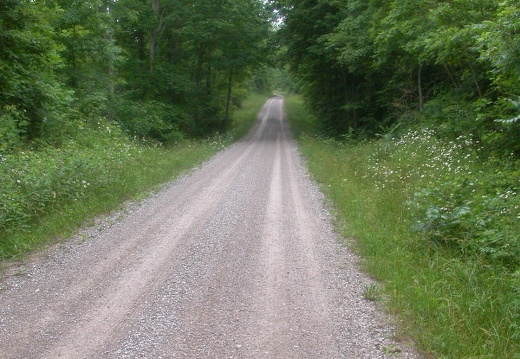 Again on Forest Service Road at 1249ft