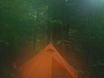 Foggy Camp