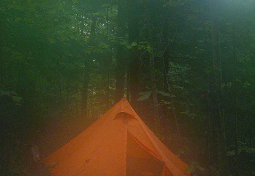 Foggy Camp