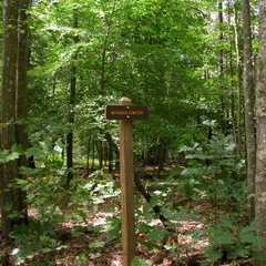 McFadden Cemetery