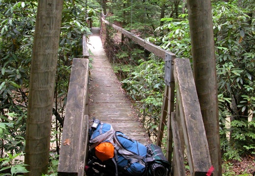 Sinking Creek Suspension Bridge