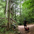 Sinking Creek Suspension Bridge
