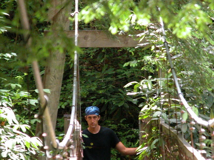 Sinking Creek Suspension Bridge