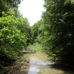 Sinking Creek