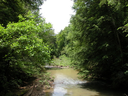 Sinking Creek