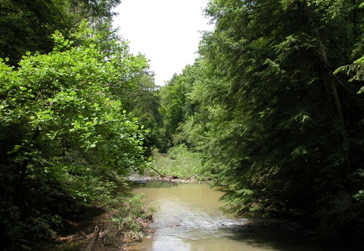 Sinking Creek