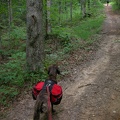 Sheltowee Quadtrack