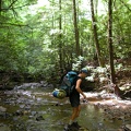 Pine Creek