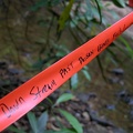 Pine Creek Instructions