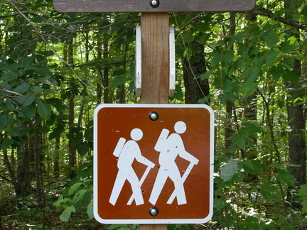 Forest Service Road above Poison Honey Fork