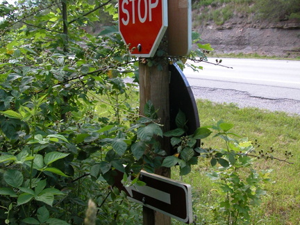 Highway 80 Junction East