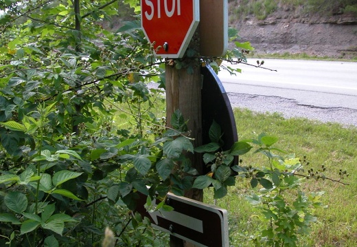 Highway 80 Junction East