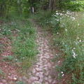 Anti-erosional Quadtrack Trail Surface