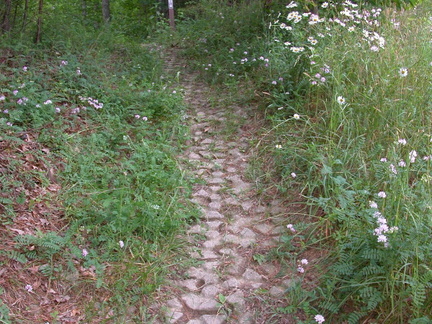 Anti-erosional Quadtrack Trail Surface