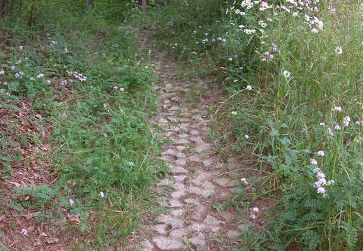 Anti-erosional Quadtrack Trail Surface