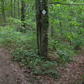 Trail Reroutes near Hawk