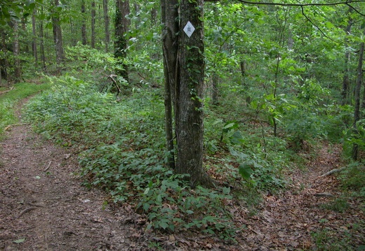 Trail Reroutes near Hawk