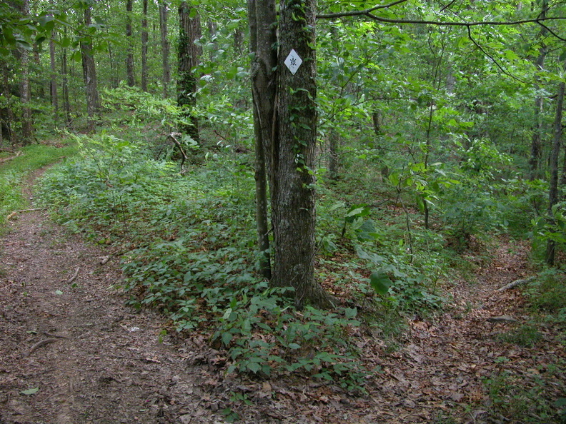 Trail Reroutes near Hawk