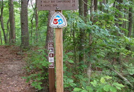 Sheltowee Trace Trailhead at Ky 1956 (old Highway 80)