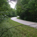 Sheltowee Trace Trailhead at Ky 1956 (old Highway 80)