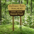 Sheltowee Trace Trailhead at Ky 1956 (old Highway 80)